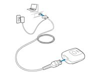 Zebra - serial cable - RS-232 to RJ-50 - 2.13 m CBL-R10755-01