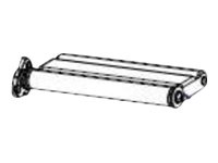 Zebra - media dancer P1083320-072