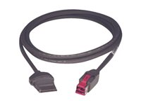 Epson - USB cable 2131683