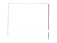 Zebra Z-Perform 1000T Removable - labels - matte - 16440 label(s) - 76.2 x 50.8 mm 880343-050D